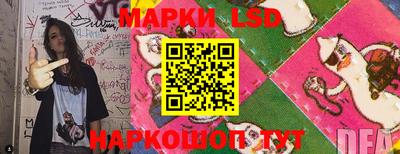 СК Ярославль
