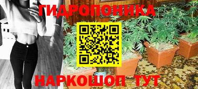 СК Ярославль