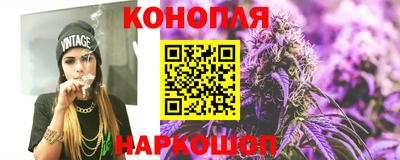 СК Ярославль