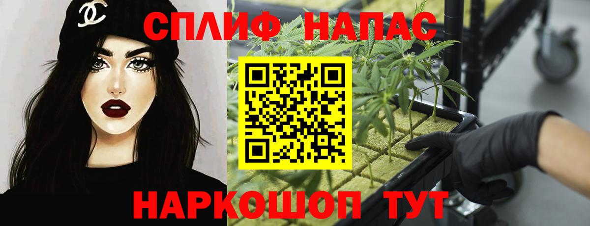 Бошки Шишки планчик Батайск